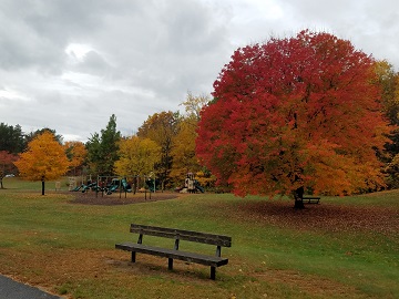 Essex VT image
